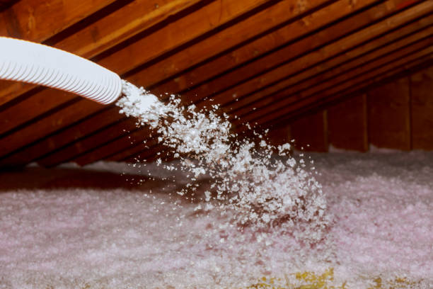 Insulation Replacement Services in Morrilton, AR