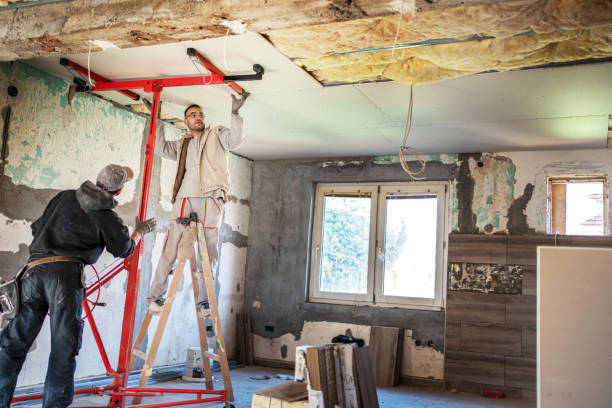Best Insulation Contractor Near Me  in Morrilton, AR