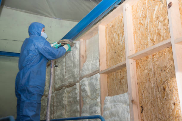 Best Insulation Repair Services  in Morrilton, AR