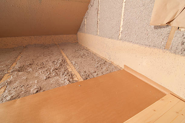 Best Home Insulation Services  in Morrilton, AR