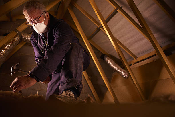 Best Soundproof Insulation Installation  in Morrilton, AR